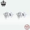 Ever Love Sterling Silver Zircon Stud Earrings: Elegant, Simple European & American Women's Jewelry
