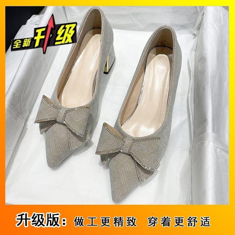 Coarse Heels Large Size High Heels Comfortable Middle Heel Fairy Style Pointed Single Shoes 2025 Summer and Autumn New Fashion French