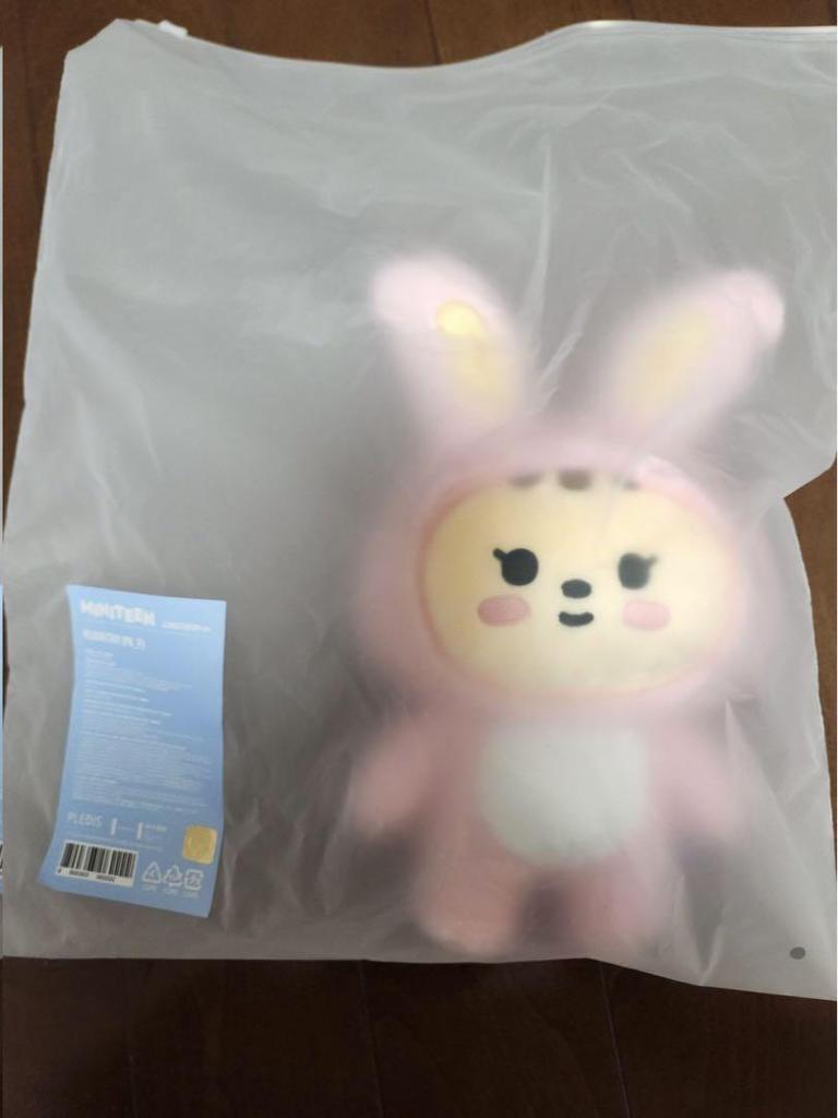 [USED] SEVENTEEN Jeonghan MINITEEN Pop-up Plush Toy