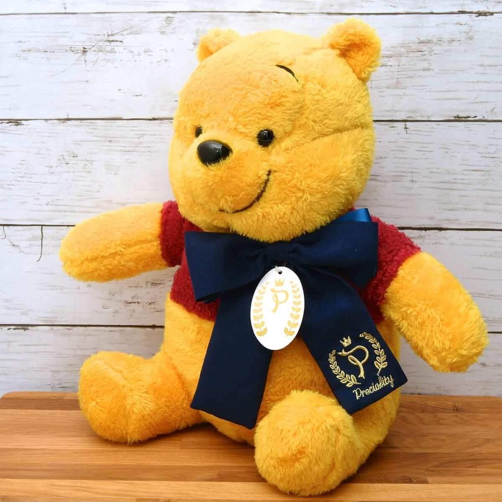 Sega Winnie the Pooh Plush Toy, Preciality Special Plush Toy, Big, Approx. 30cm