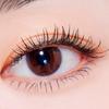 Etude Curl Fix Mascara 8g + Eyelash Curler Set, 01 Black, 2 sets