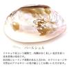 GOLD STONE white sage set pearl shell crystal chips wooden stand 4pcs beginner kit aroma incense california grown sage organic herb
