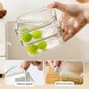 Spice Storage Box with 46117 Compartments Leakproof Sealed Kitchen Organizer with Transparent Window Meal Prep Storage Container for Peppercorns