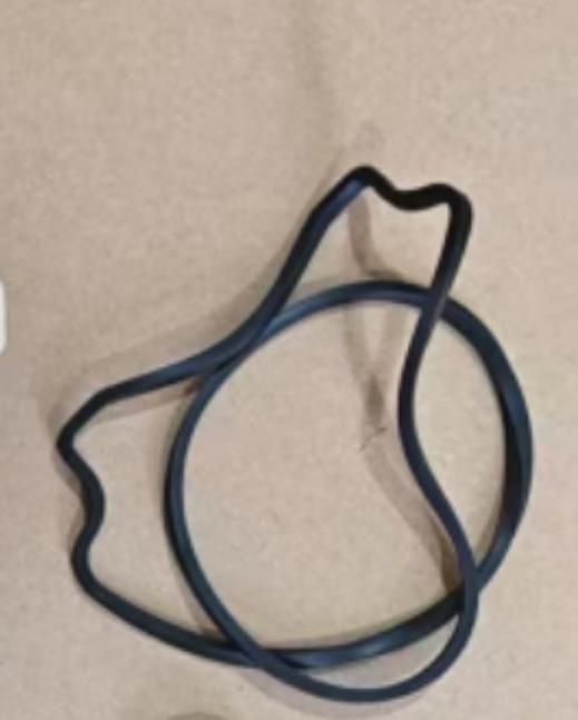 Complete Seal Plate and Shaft Seal Replacement for Pentair Pool Pump 507418A Ensures Optimal Performance and Leak Prevention