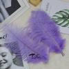 Colored Ostrich Feathers 30-35Cm Stage Performance Wedding Bouquet Decoration Ostrich Feathers