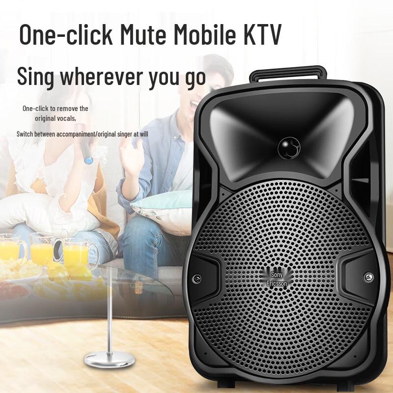 Soaiy SA-F67 Outdoor Portable Karaoke Speaker