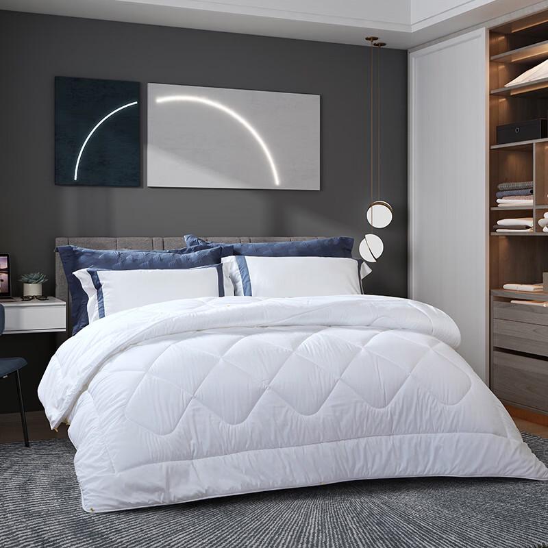 FUANNA Brushed Warm Hollow Fiber Winter Comforter