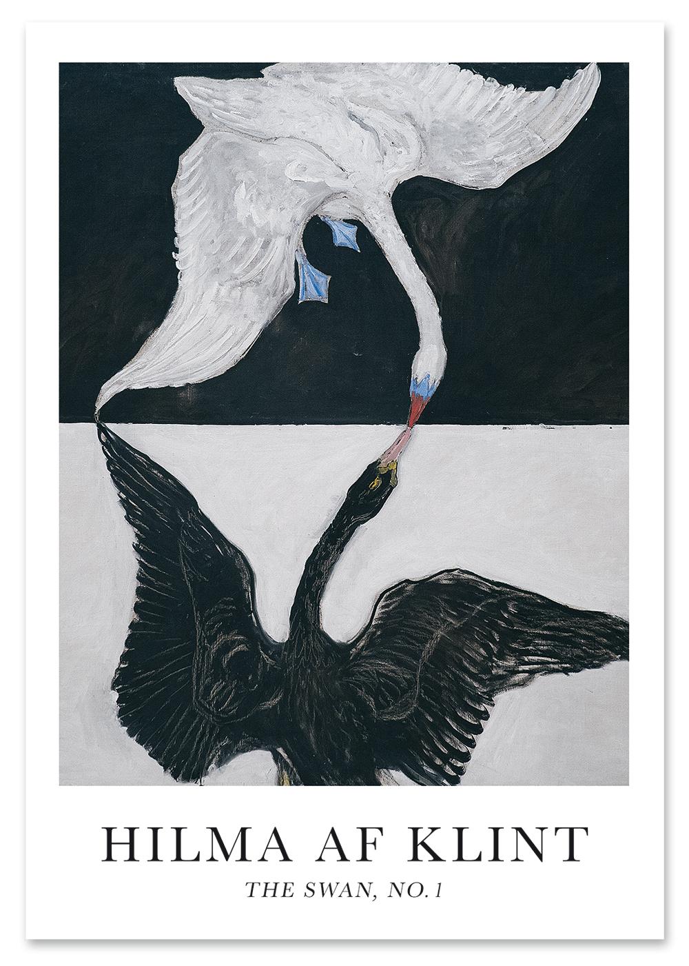 

Плакат Гільма аф Клінт Чорний лебідь чорно-білий 50x70 cm