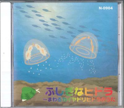 CD SHIN KUBOTA - Hushiginahidora N0904 UNKNOWN Japan Obi Japanischer Pop/Rock Gebraucht