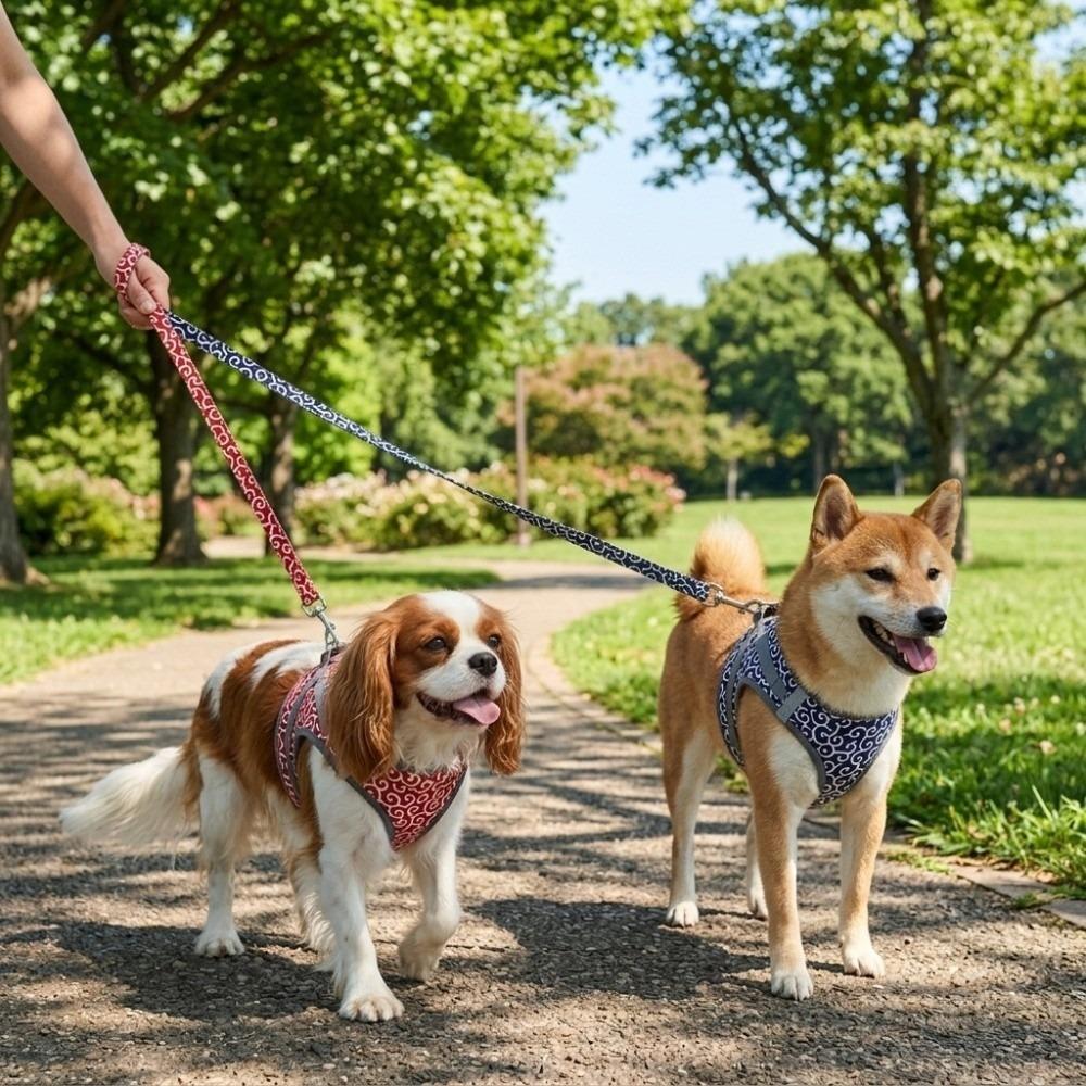 Solid Blue Tone Cat Leash Set Multi Size Option Kitten Walking Strap  Pet Outdoor Training