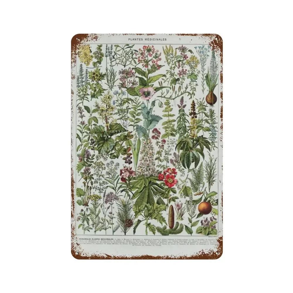 Vintage Mushroom Medicine Flower Insect Butterfly Vegetable Pumpkin Carrot Metal Aluminum Signs Home Room Garden Wall Art Pla