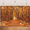 Fall Backdrops for Photography Autumn Thanksgiving Halloween Backdrop 8x6Ft