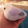 Lovely Bird High Fidelity Parrot Peony Parrot Plushie Budgerigar Budgie Plush Toys Lifelike Animals Simulation Stuffed Doll Toy