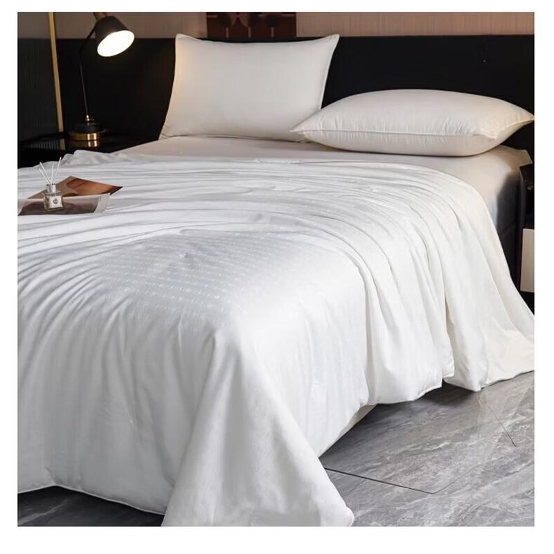 Hodo Chinese Style Tussah Silk Blend Quilt