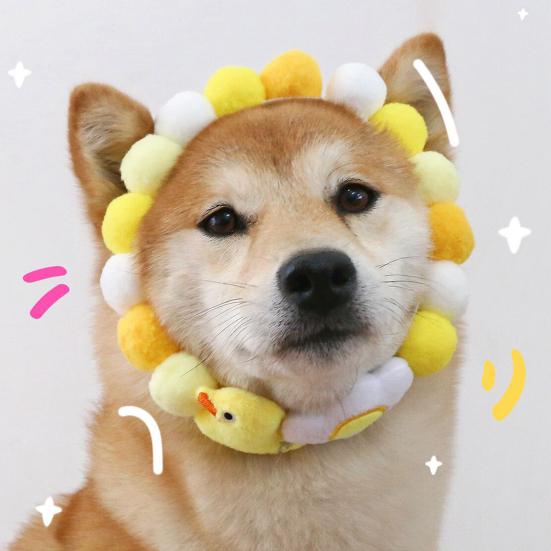 Pet Accessories Collar Cartoon Adjustable Trendy Personality Animal Design Dress Up Cotton