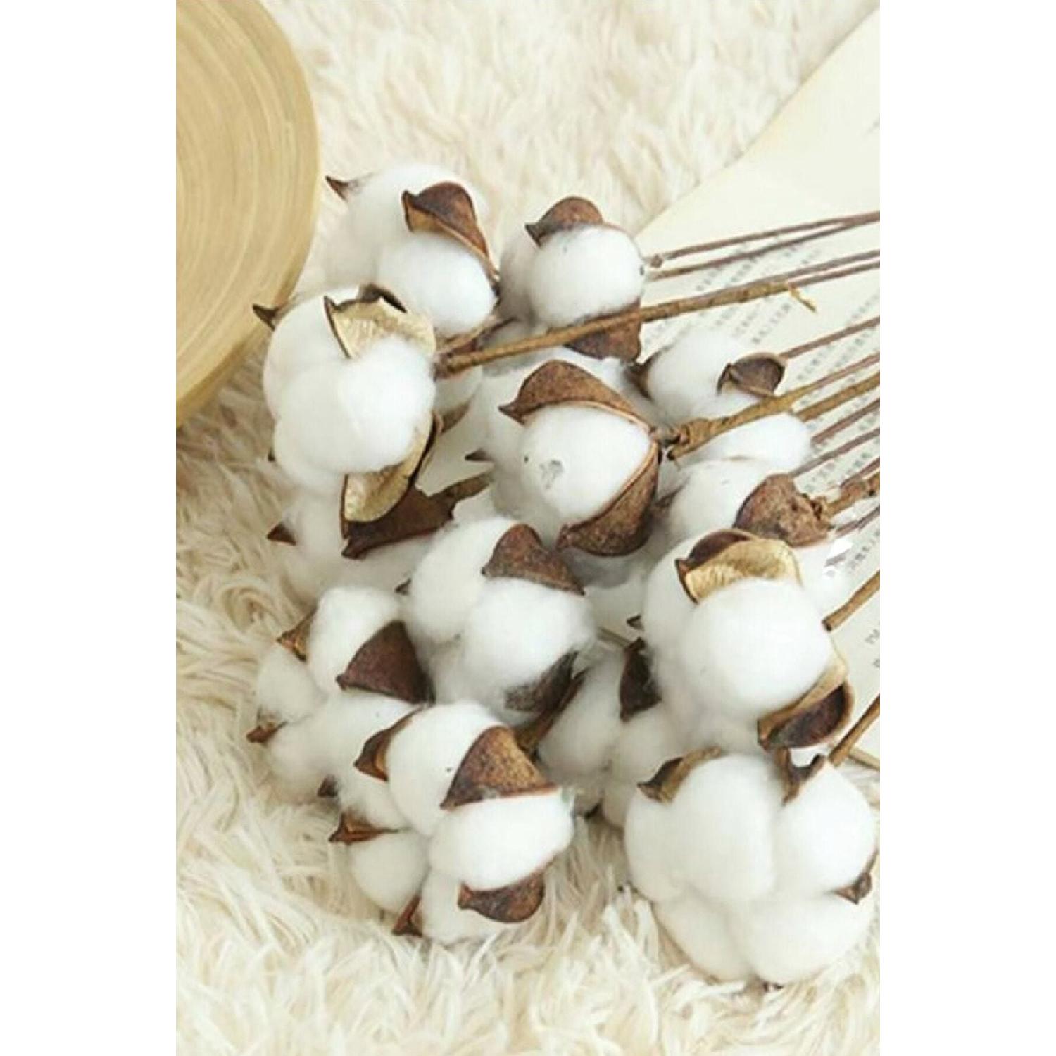 

Natural Cotton Branches 5 Pieces 50 x 110 белый