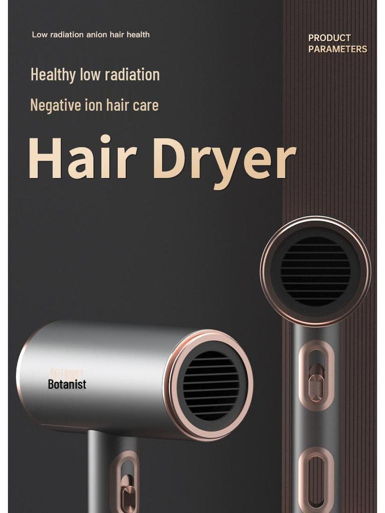 High-Power Quiet Wireless Hair Dryer with Large Airflow and Negative Ion Technology - Germany