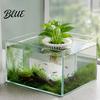 Floating Fish Tank Plant Holder 3D Printed Aquarium Holder Water Hydroponic Planter Basket Pothos for Pot Aquascape Decoration Plants Aquatic
