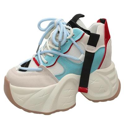 Mode 11CM Dames Chunky Sneakers Nieuw 2024 Herfst Hoog Platform Mesh Dad Schoenen Dames Casual Trainer Sneakers Dikke Zool Gevulkaniseerde Schoenen