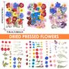 104/96/94Pcs Pressed Dried Flowers Set Real Natural Pressing Floral Leaves DIY Multipurpose Real Pressed Flowers Dry Leaves Kit