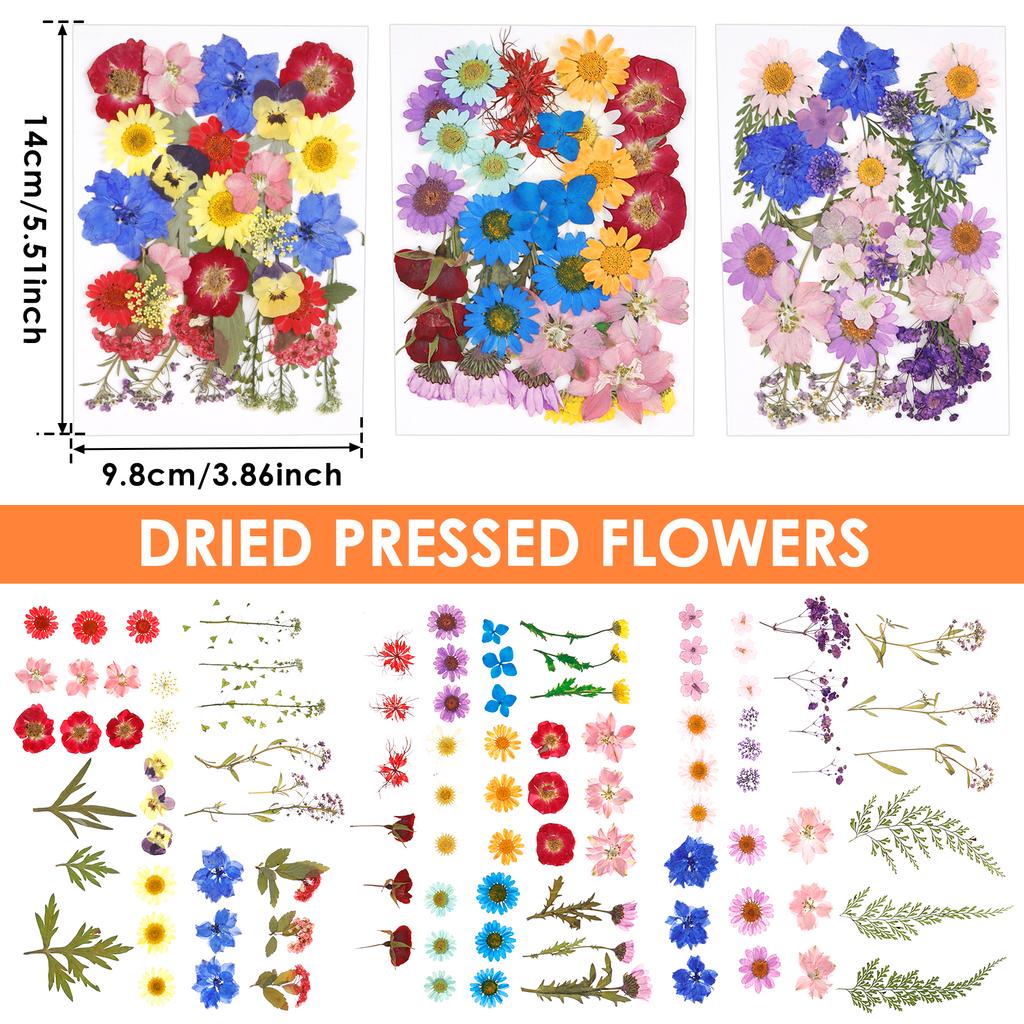104/96/94Pcs Pressed Dried Flowers Set Real Natural Pressing Floral Leaves DIY Multipurpose Real Pressed Flowers Dry Leaves Kit