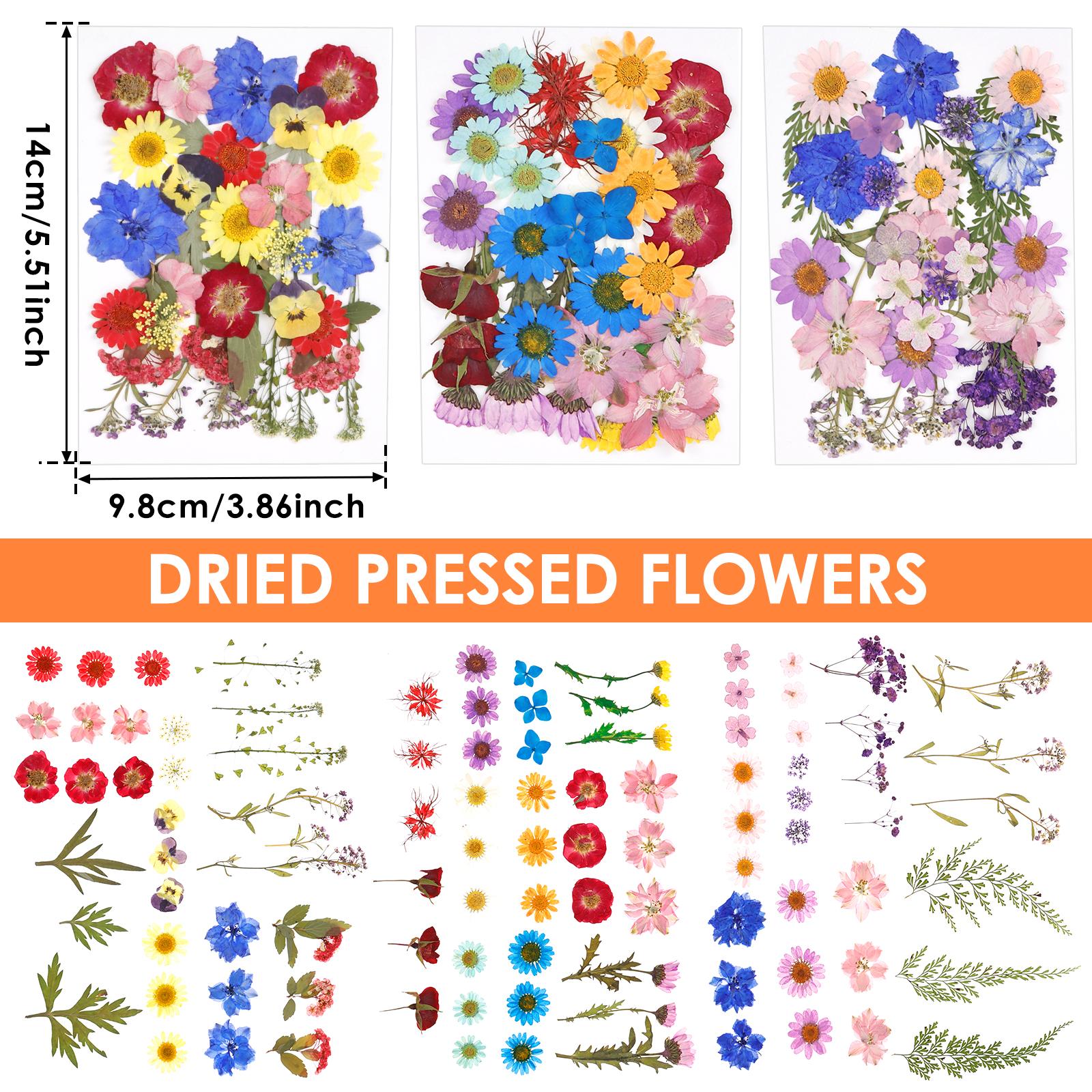 

104/94pcs Dried Flowers Natural Plant Pressed Flower Epoxy Resin Fill DIY Make Art Craft Diarybook Decor Handmade Resin Material
