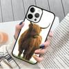 Highland Cows Phone Case for iPhone 17 Air 16 15 14 12 13 PLUS 11 PRO MAX Cover Fundas Shell