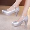 Size 32-43 Women High Heel Shoes Round Toe Thick Heel Wedding Party Shoes Platform Women Pumps Women Offfice Shoes 8cm/10cm/12cm