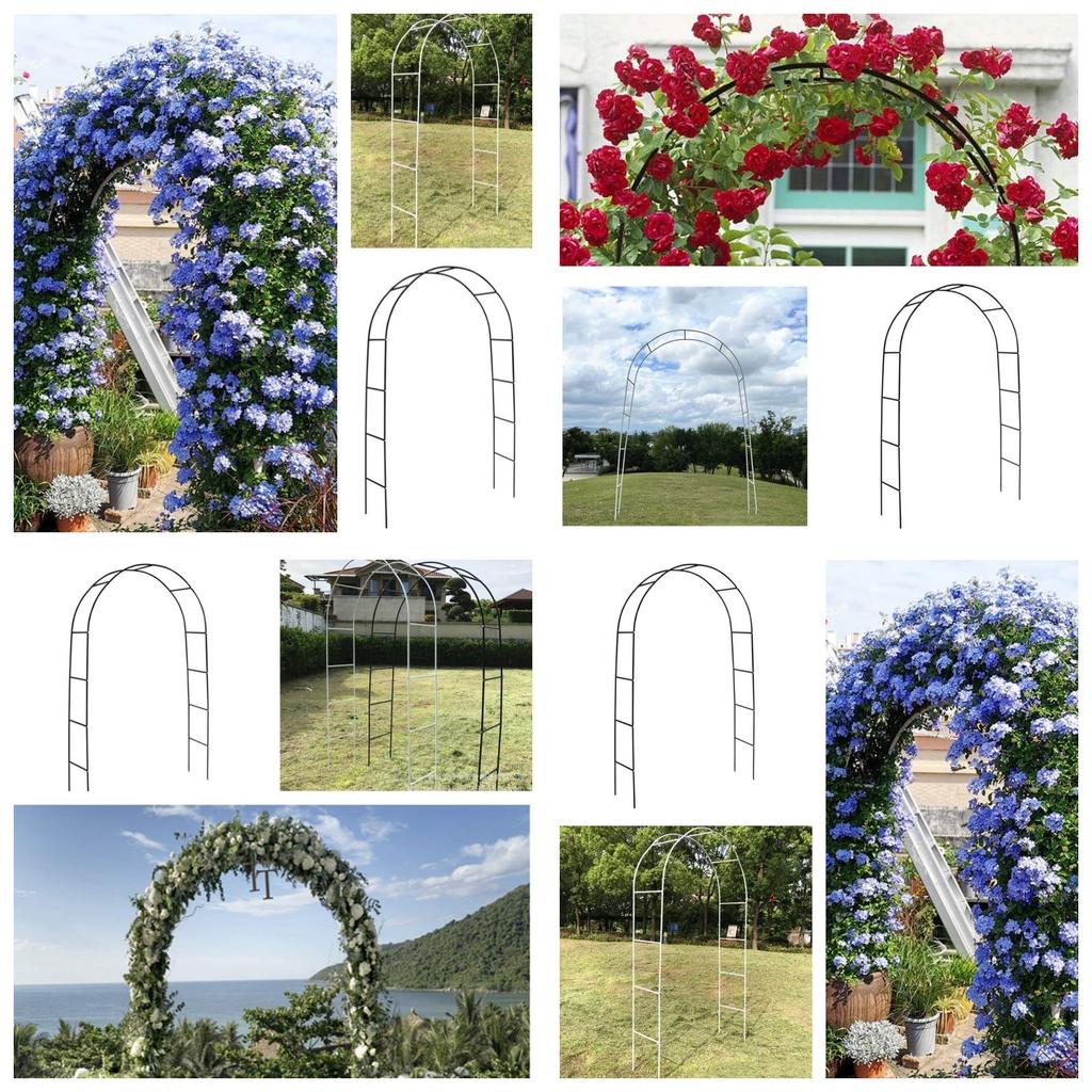 Simple Style Arch Trellis For Climbing Plants Foldable Metal Frame Black/white