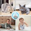 Transparent Pet Rolling Ball Built-in Animal Plastic Material Pet Exercise Active Ball Design Self-Rotating