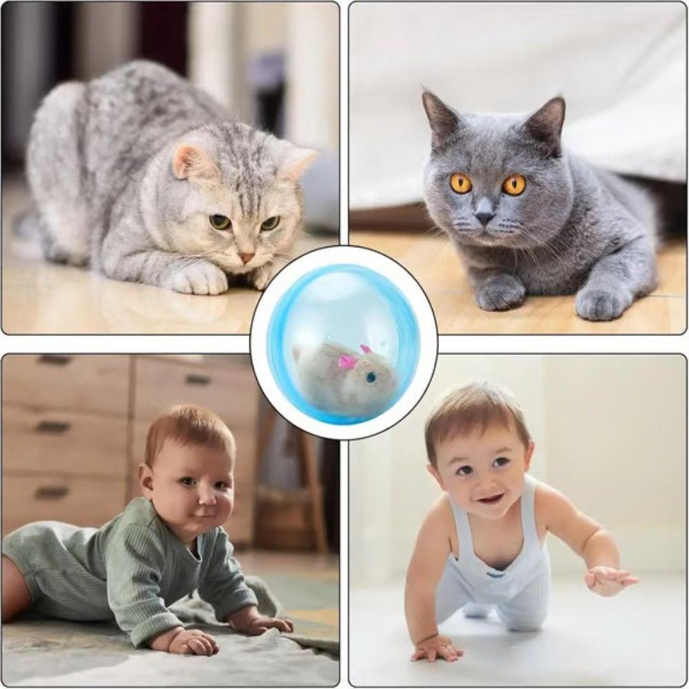 Transparent Pet Rolling Ball Built-in Animal Plastic Material Pet Exercise Active Ball Design Self-Rotating