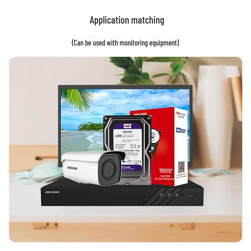 Zhi Shi 4TB Surveillance Hard Drive