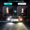Briteye LED Fog Lamp, H8, H9, H11, H16, LED Fog, 4 Types of LED