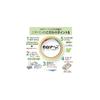 Nichiban Cellophane Tape, Large Roll, Plant-Based, No. 405, 18mm x 50m, 405-18x50, 10-roll pack