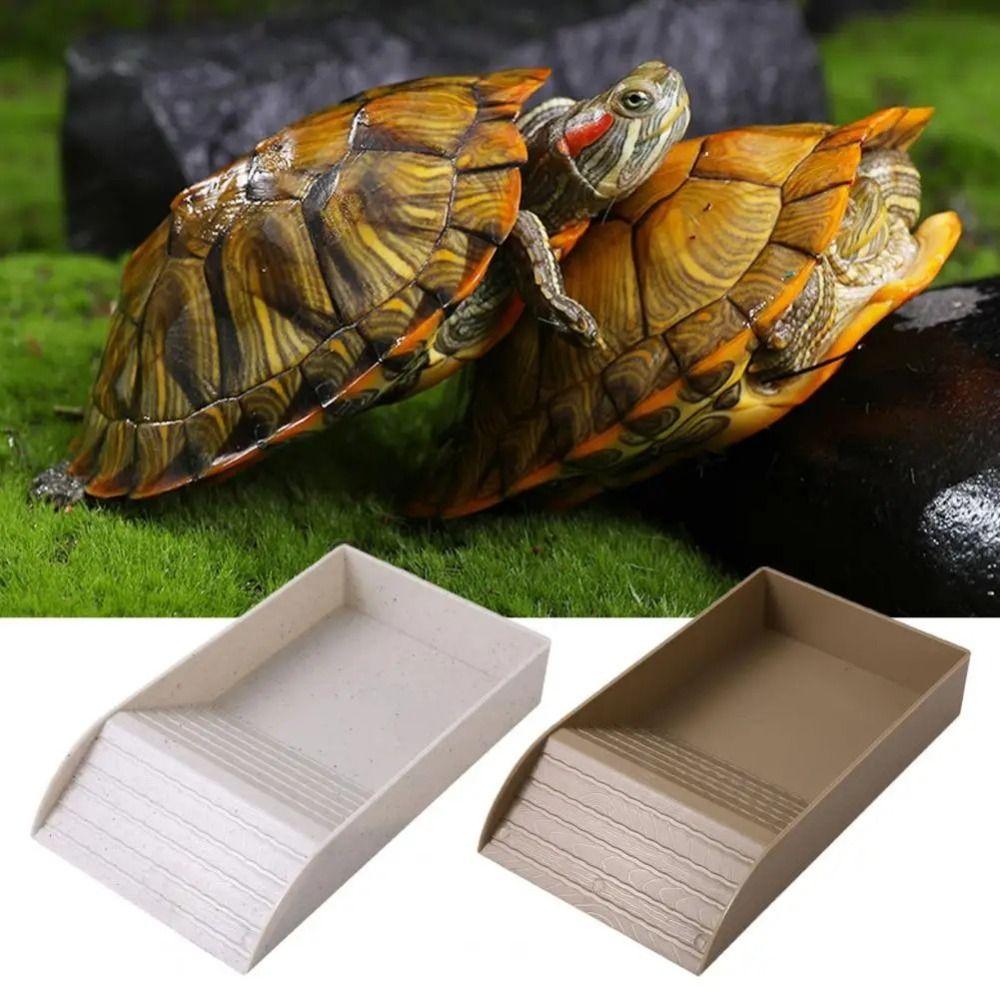 Smooth Tortoise Feeder Burr-free Turtle Feeding Basin Reptile Water Bowl  Snake