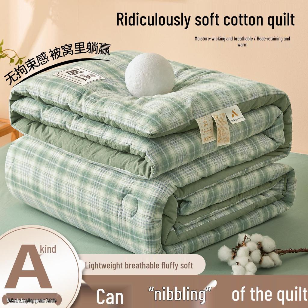 2025 All-Season Quilts: Thick Washed Cotton for Winter, Xinjiang Cotton for Summer, and Versatile Spring/Autumn Comfort