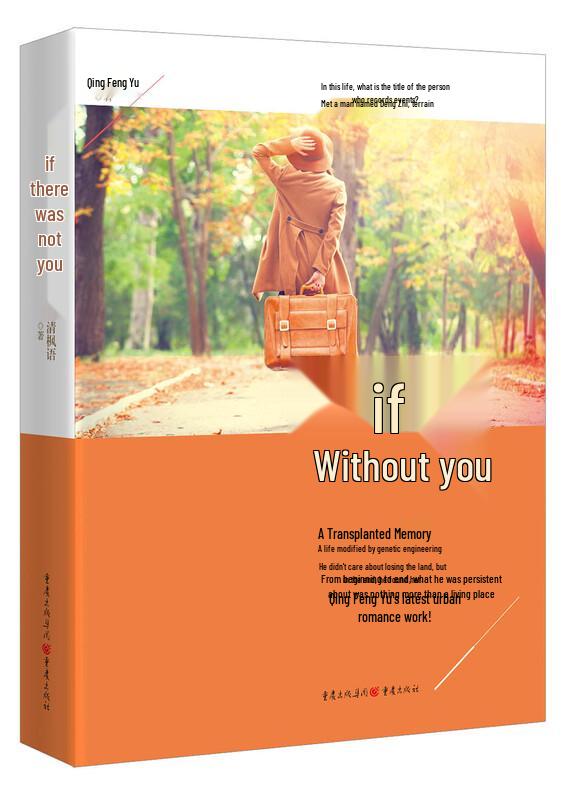 If There Were No You Novel