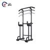 Siyi Freestanding Pull-up Bar Station