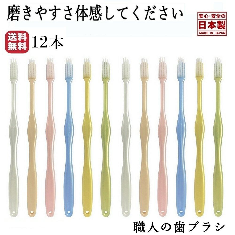 Daily Ranking No. 1 Toothbrush Craftsman Tapered Normal Cleans Every Corner Teeth Made Japan Life Range Bristles Small Head Tooth Cleaning Cavity Bad