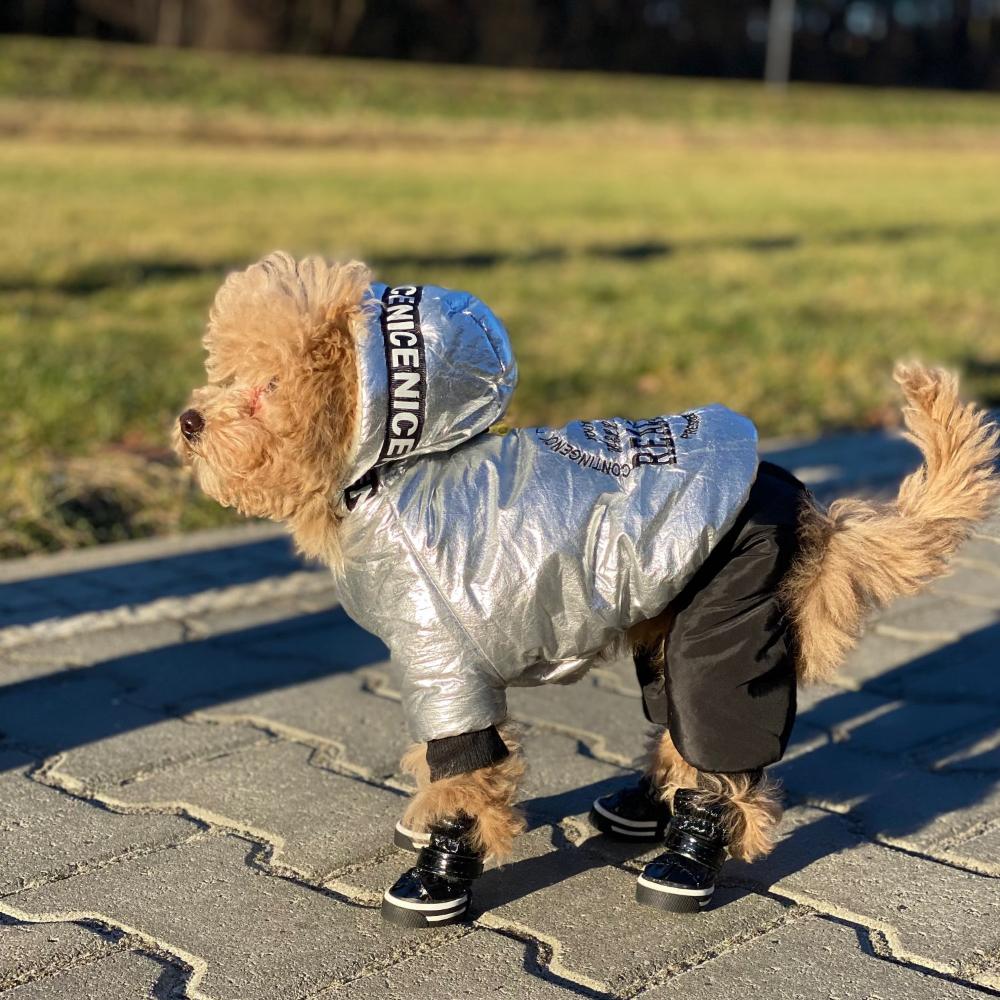 Pet Dog Cozy Dog Shoes For Small Medium Dogs Cats Autumn Winter Hiking Waterproof Puppy Solid Soft Boots Bulldog Teddy Chihuahua