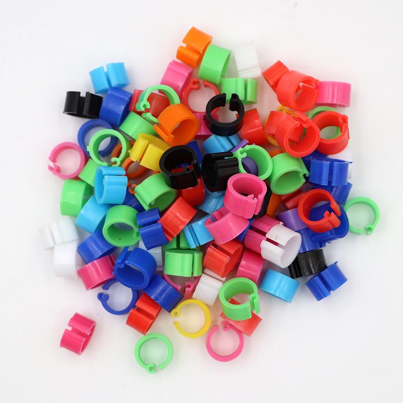 

100 шт. Кольца для ног птиц, голубей, маленькие кольца для ног домашней птицы, 10 цветов, пластиковые клипсы для голубей, кольца для ног перепелов, голубей, товары для домашних птиц 100Pcs