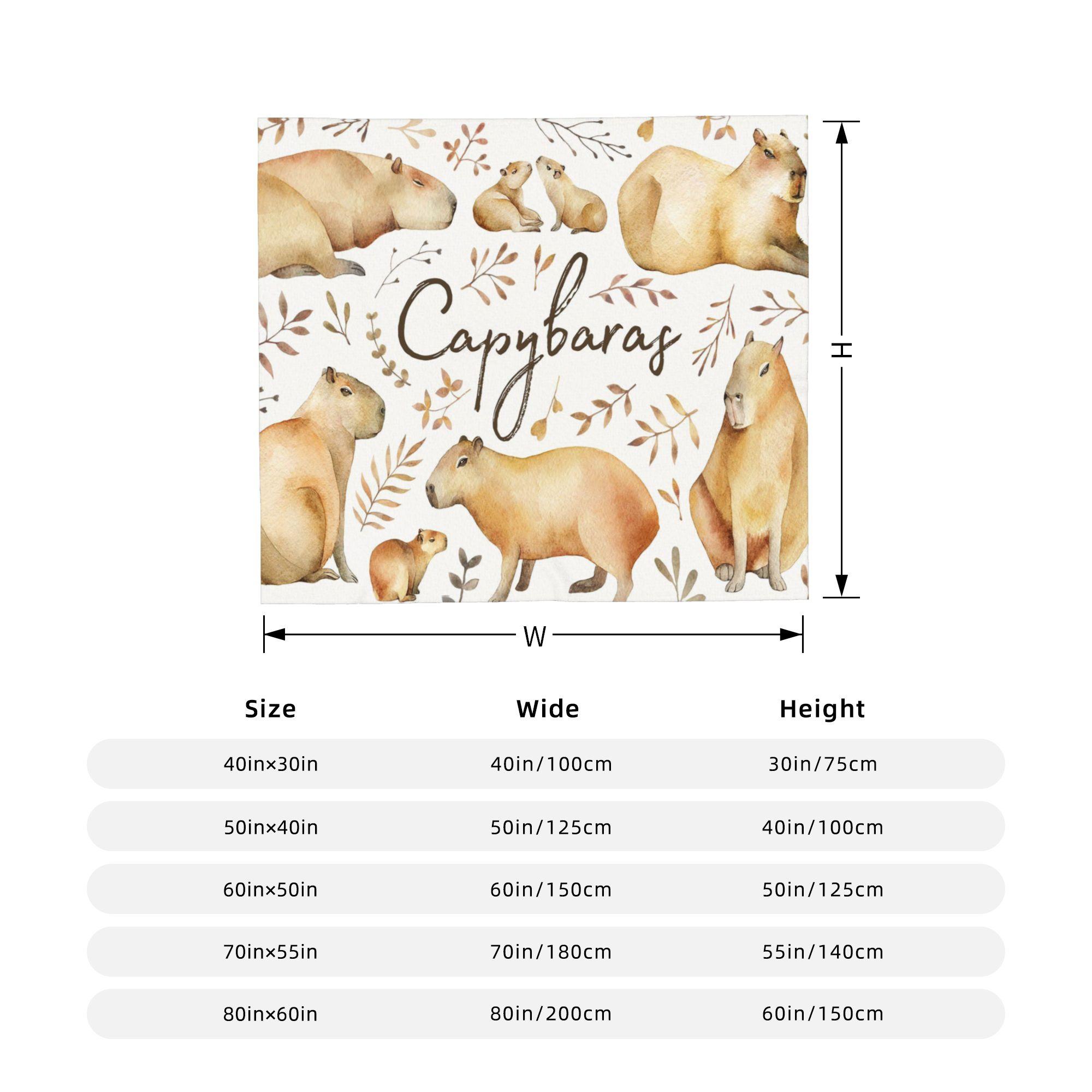 

Capybara Blankets Animal Plush Funny Breathable Throw Blankets for Coverlet Winter 75x90cm
