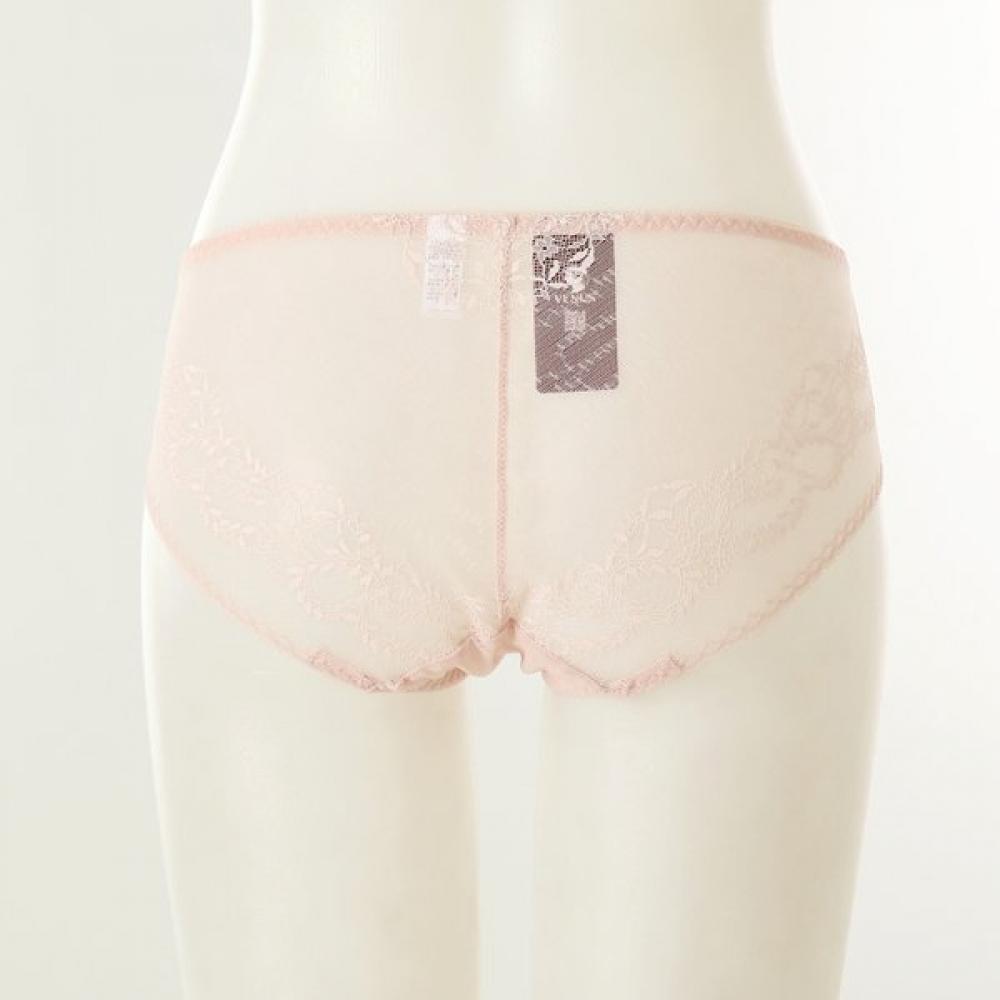 Venus Feminine Pastel No Wire Panty Hip Lace Style [vptw642s]