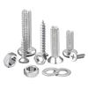 Baolian Phillips Pan Head Self-Tapping Screw Set with Nut Cap & Washer (Sizes M2-M6)
