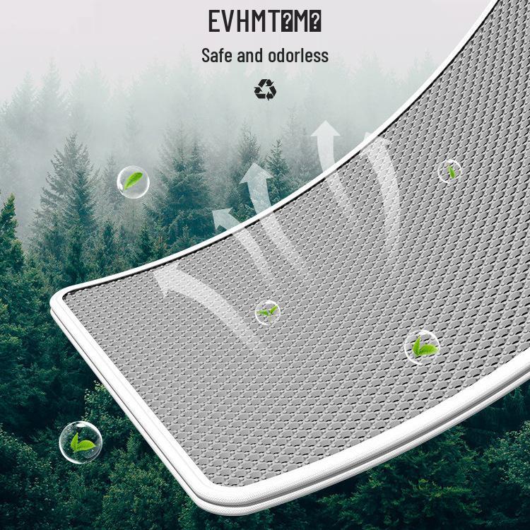 Cat Litter Mat: Anti-Tracking, Anti-Splash, Double Layer, Leak-Control Mat for Cats