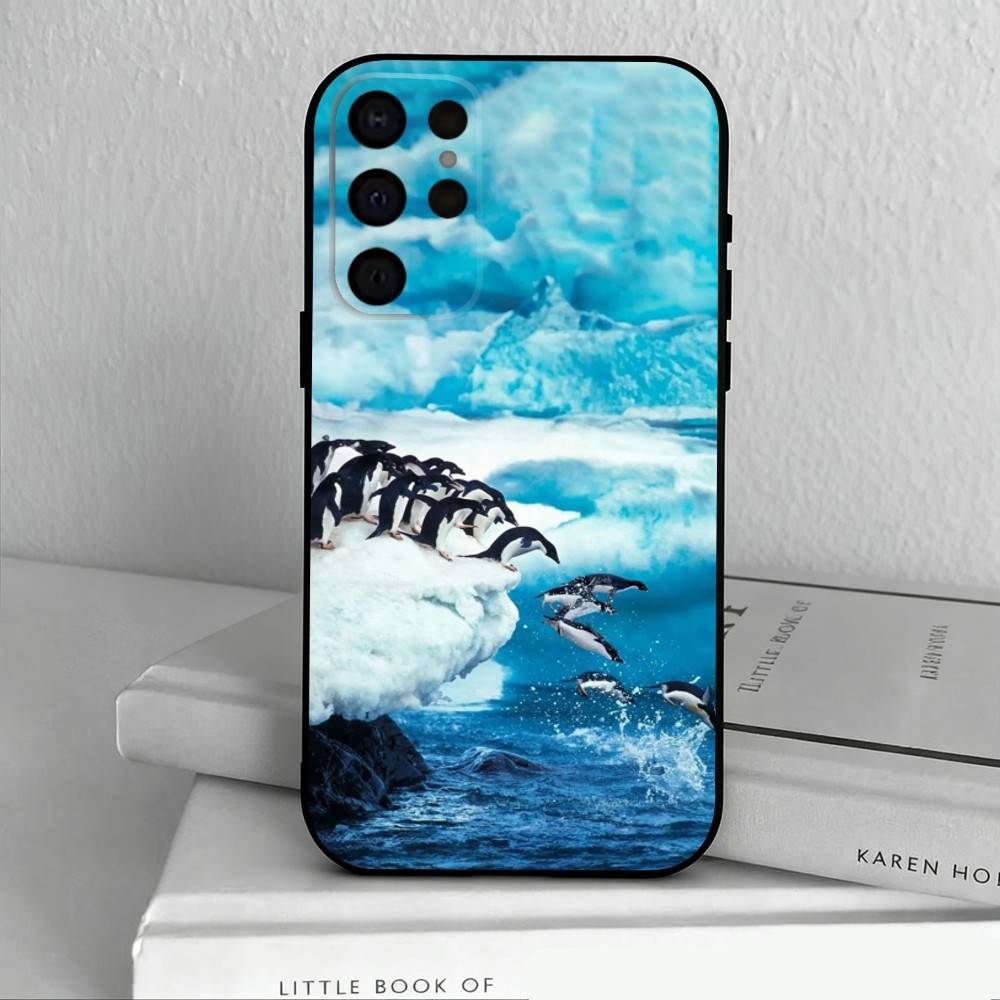 Animal P-Pingu Penguin Phone Case For Samsung S25,24,23,22,30,21,10,9,Ultra,Plus,Lite,FE,4,5 G Soft Black Case