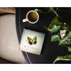 The Butterfly Effect: How Your Life Matters