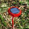 Lotus 24-Hour Solar Outdoor Speaker: Rainproof, Lightning-Protected, Sun & Frost Resistant, High Volume Playback