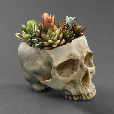 Vaso de Flor Caveira Pendurado Vaso de Planta Caveira Humana Tigela de Doces de Halloween Plantador Gótico para Suculentas Decoração de Interior e Exterior