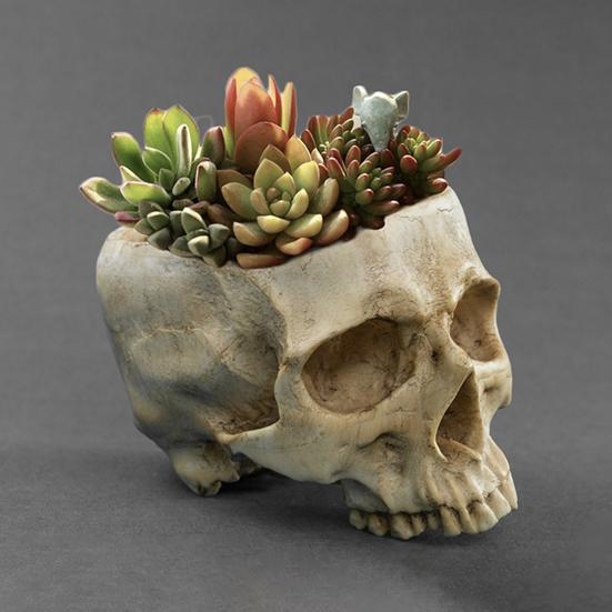 Skull Flower Pot Hanging Human Skull Plant Pot Halloween Candy Bowl Gothic Planter for Succulents Indoor Outdoor Decor